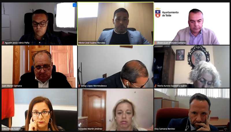 Imagen del Pleno telemático celebrado este lunes / TA